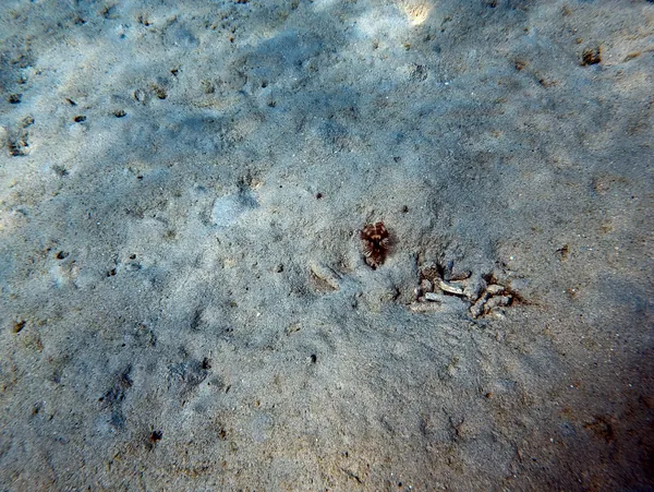 Something Special · Mar 10, 2024
