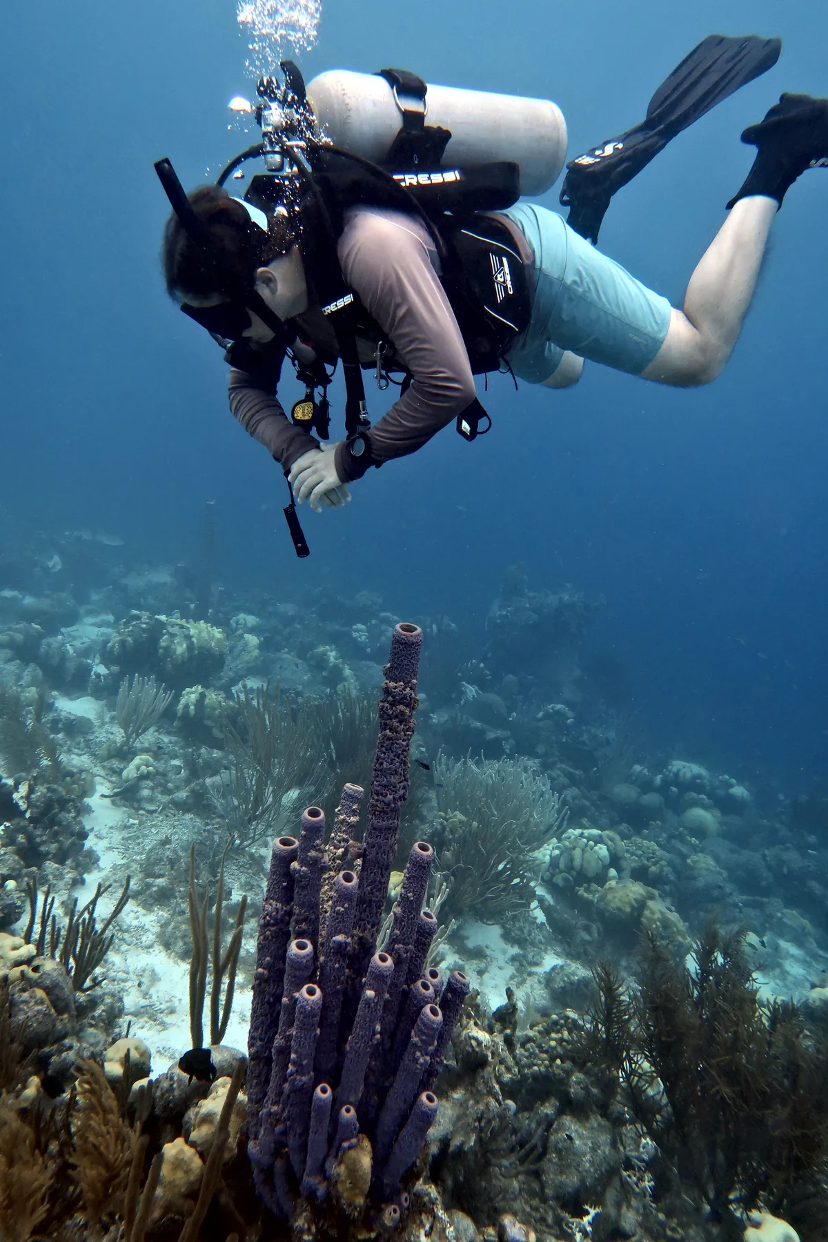 Stove-pipe Sponge