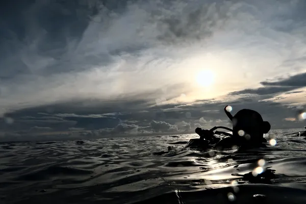 Oil Slick Leap · Nov 13, 2024
