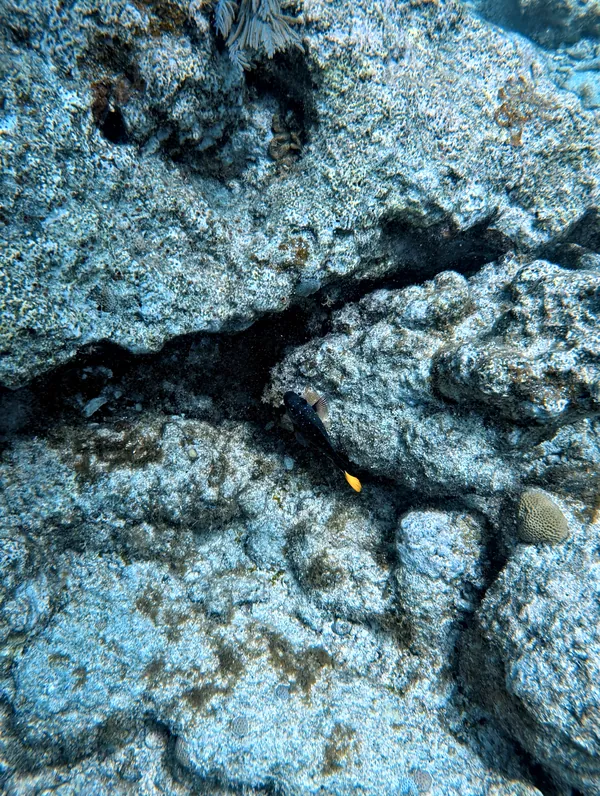 Molasses Reef · Apr 2, 2025